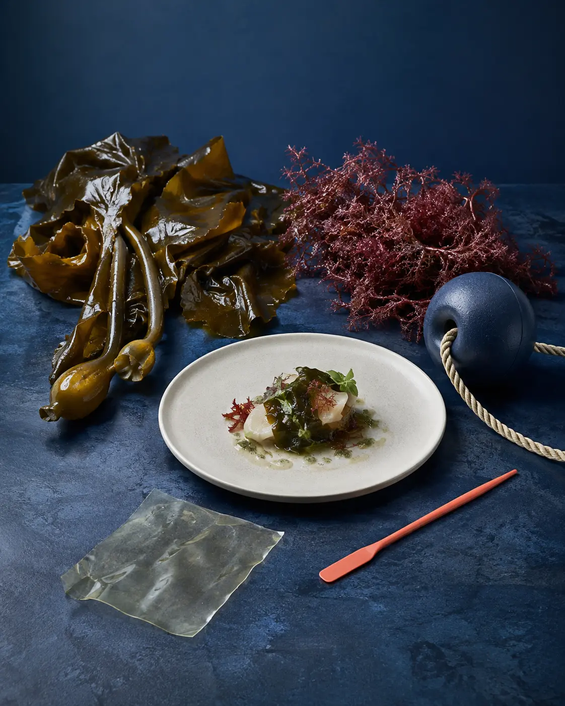 Seaweed arranged with a plated bite, research material and marine-farm rope
