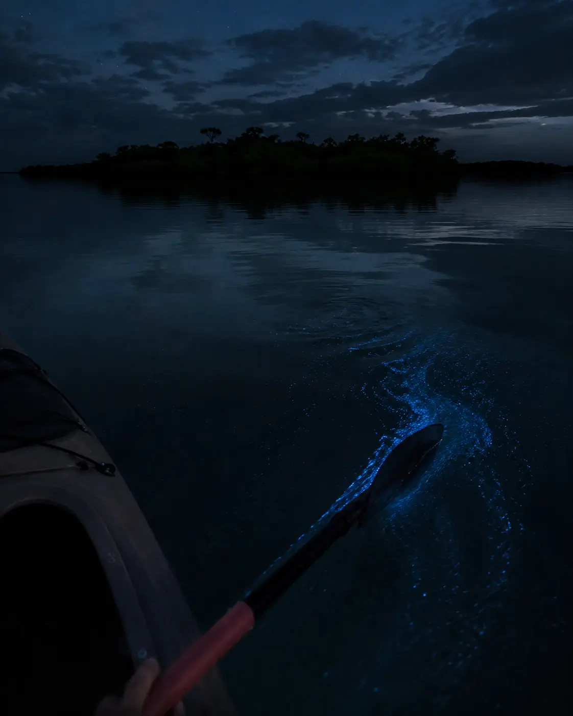 A gentle kayak paddle stroke revealing bioluminescent plankton at night