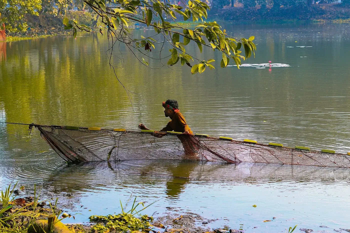 A small-scale fisher working with a net from a narrow boat in Bangladesh