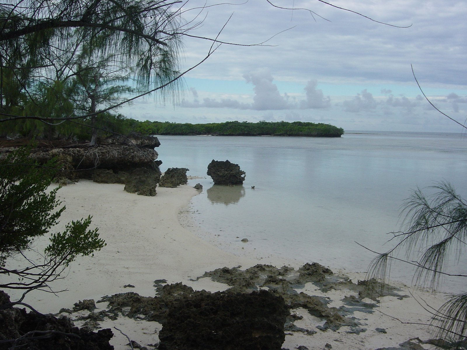 Coastal view of Aldabra Atoll in the Seychelles