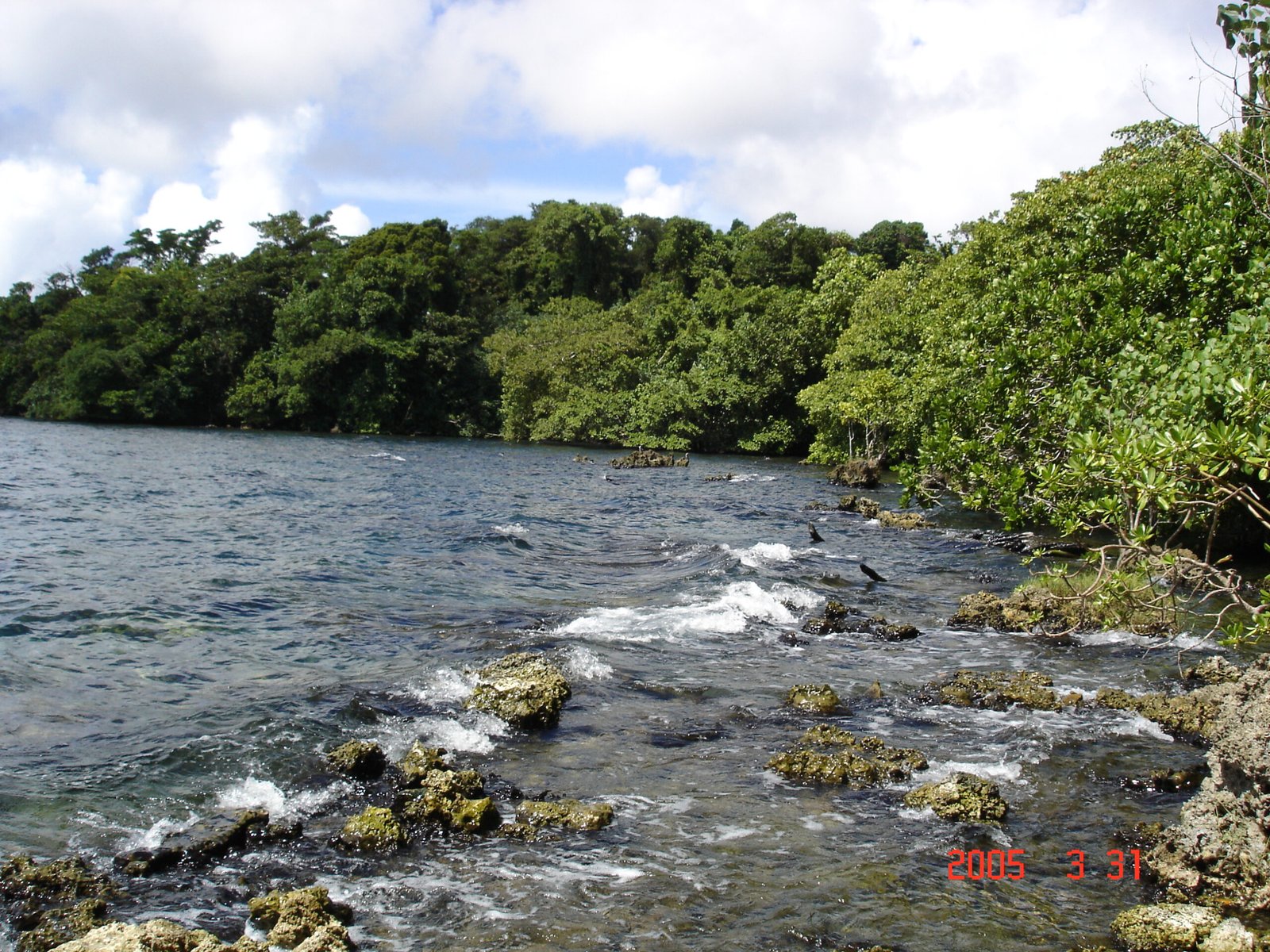 Coastal and island landscape at East Rennell in the Solomon Islands