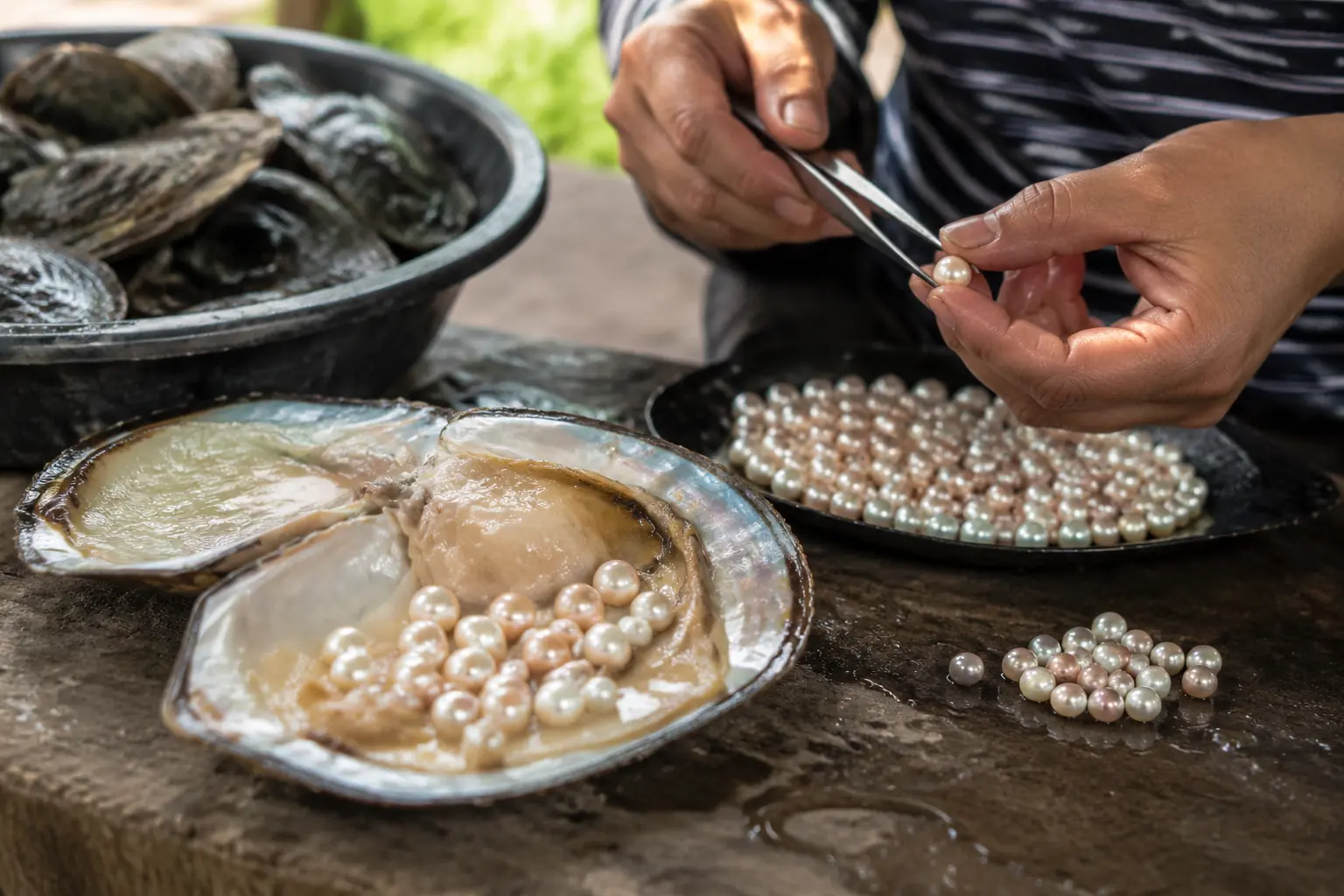 Freshwater Cultured Pearls