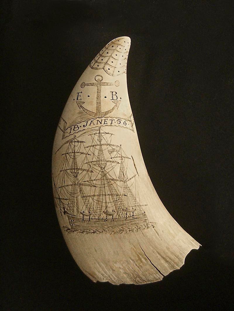 Historic scrimshaw whale tooth engraved with an anchor and a sailing ship