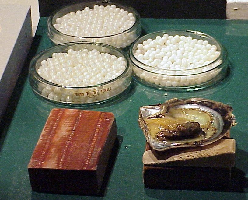 Three GIA pearl report types compared across identity, treatment and quality-factor fields