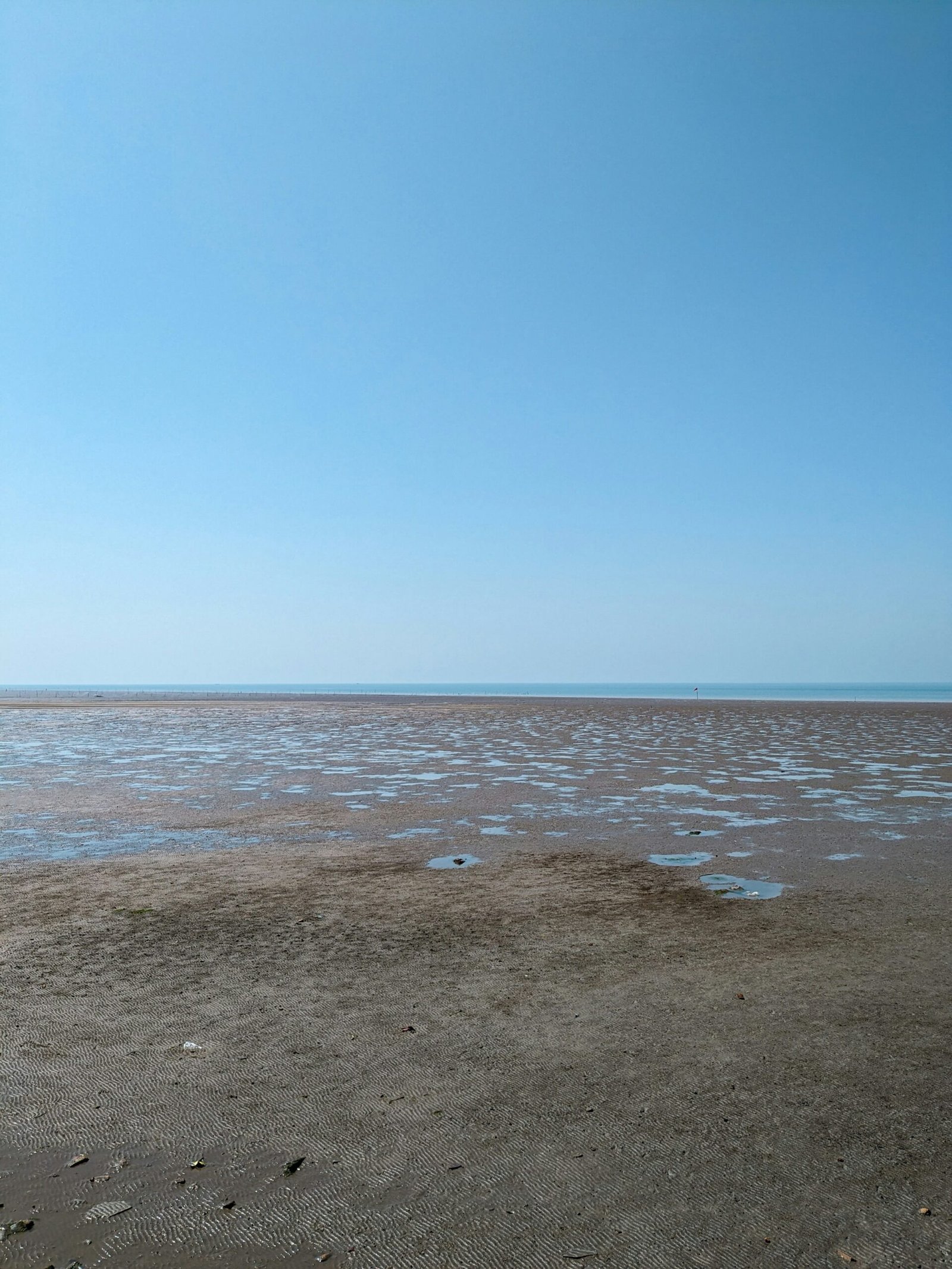 Intertidal shoreline exposed at low tide on the coast of Gujarat, India
