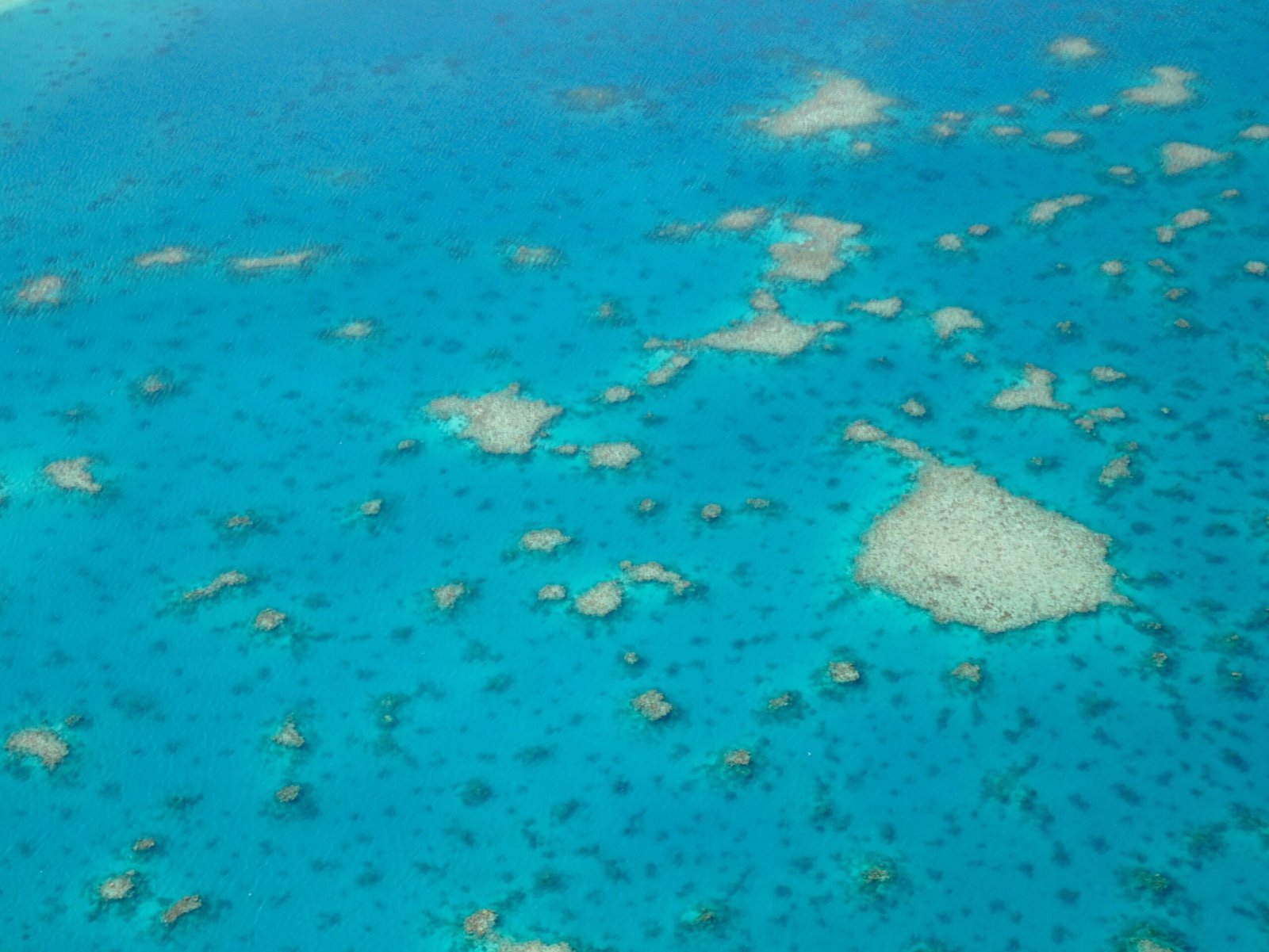 Blue lagoon and reef waters in New Caledonia