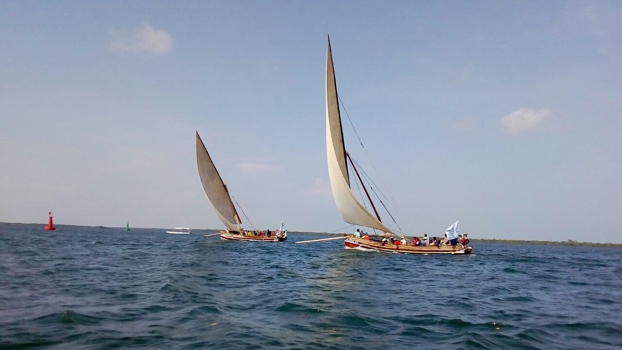 Traditional dhows sailing on the Indian Ocean off Lamu, Kenya