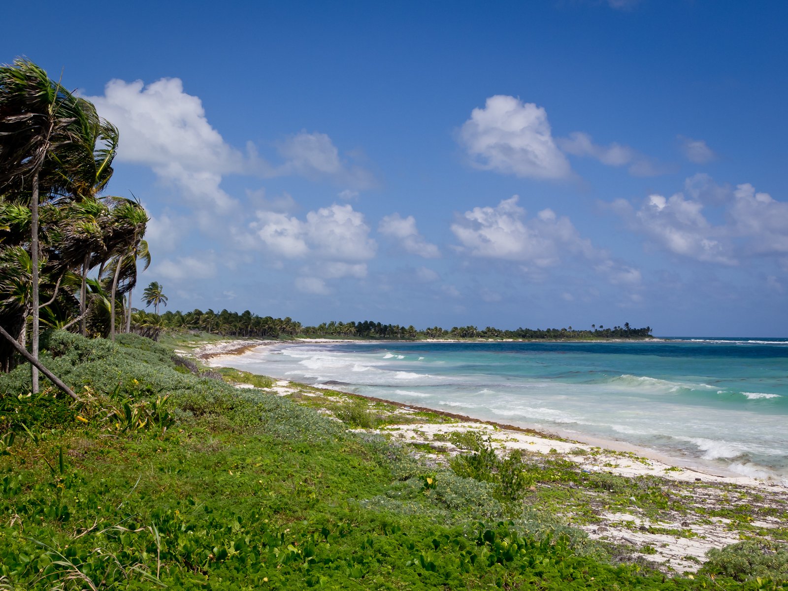 Bay and low coastal vegetation inside the Sian Ka’an Biosphere Reserve in Quintana Roo, Mexico