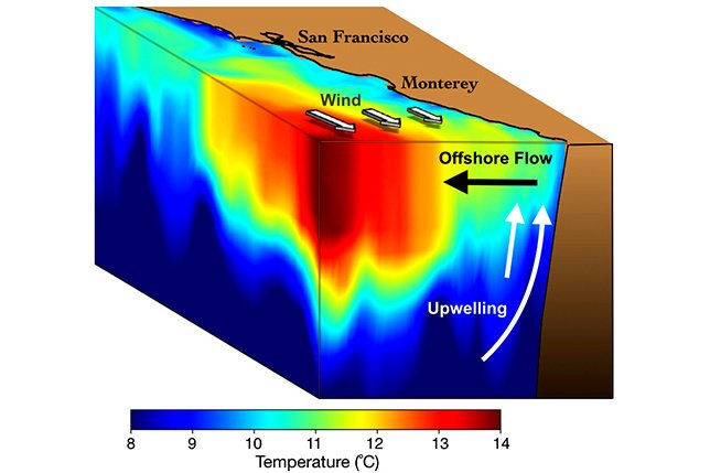 NOAA diagram showing coastal wind, offshore surface flow and colder upwelling water rising from depth