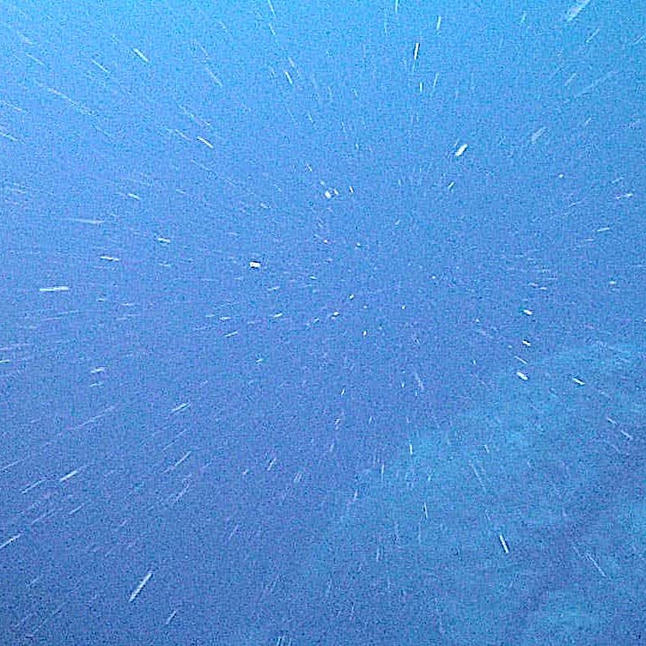 White marine-snow particles suspended in deep blue ocean water