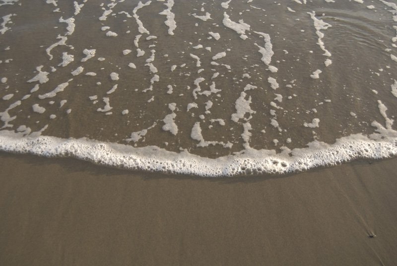 Ocean wave curling and breaking as it approaches a California beach