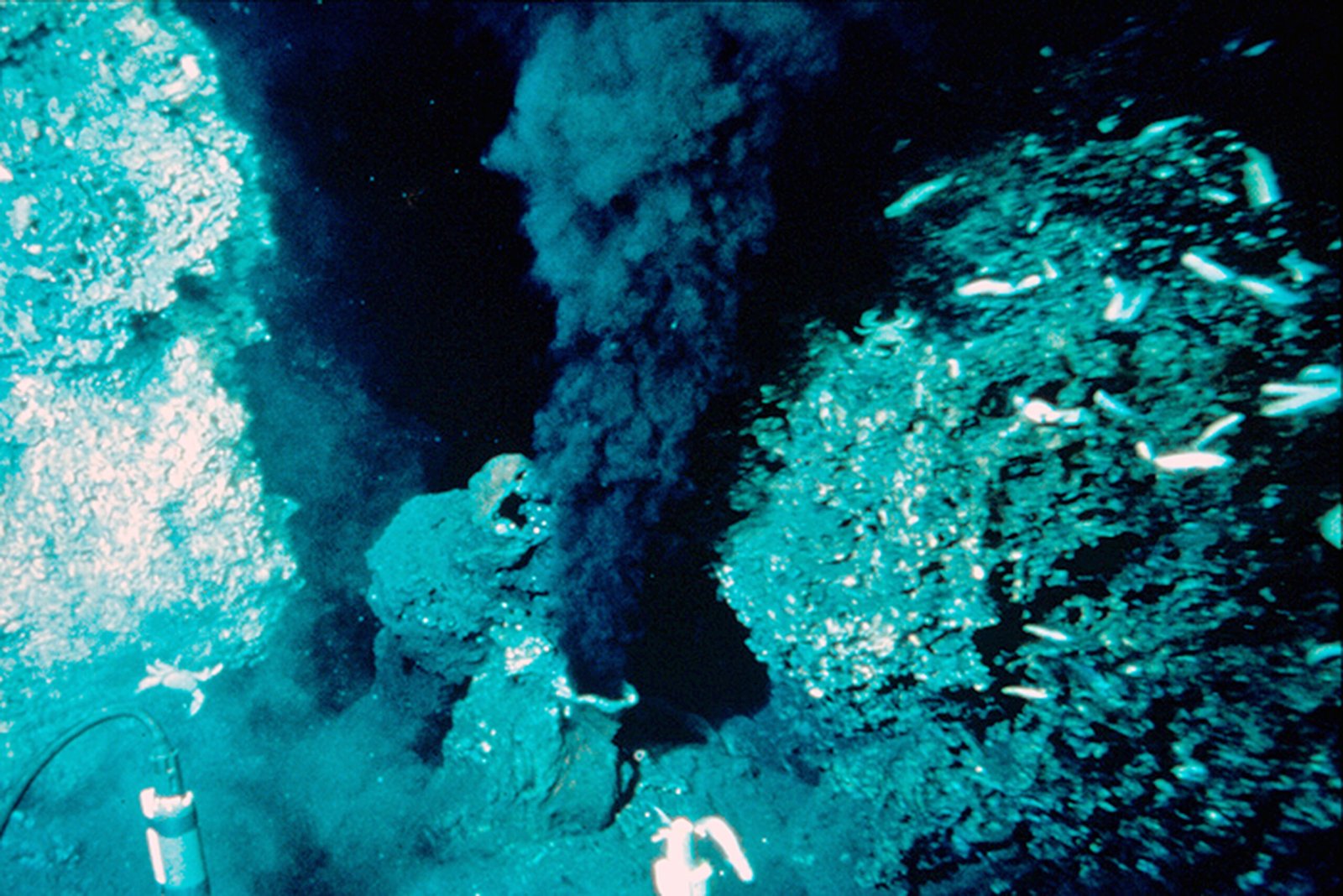 A black-smoker hydrothermal vent rising from the deep seafloor on the East Pacific Rise