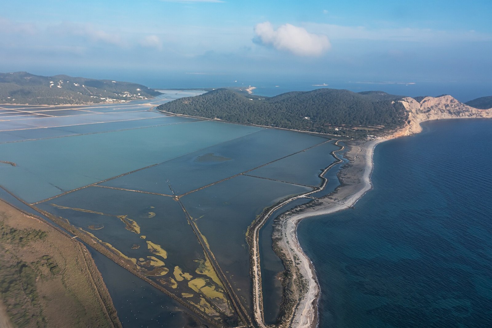 Ibiza Biodiversity And Culture 20261018