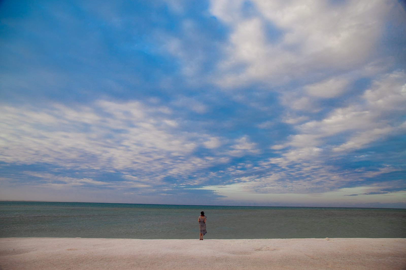 Shark Bay Western Australia 20261018