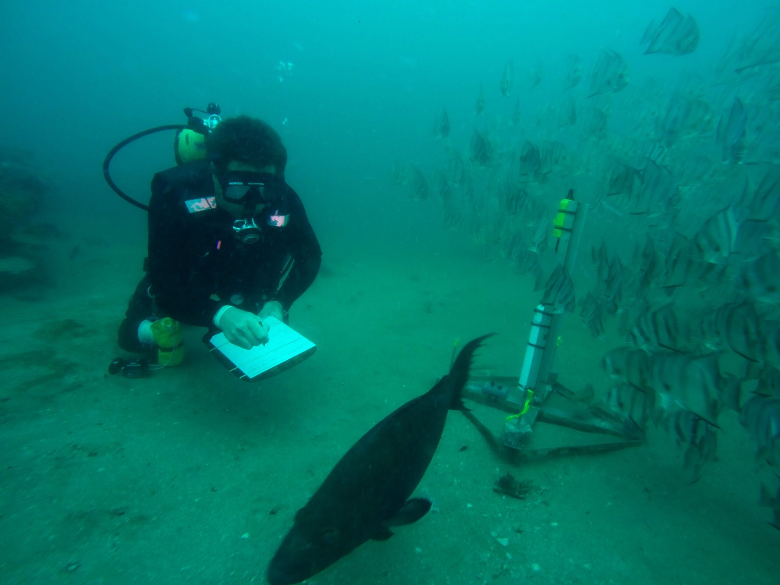 A NOAA diver beside an underwater hydrophone in Gray's Reef National Marine Sanctuary